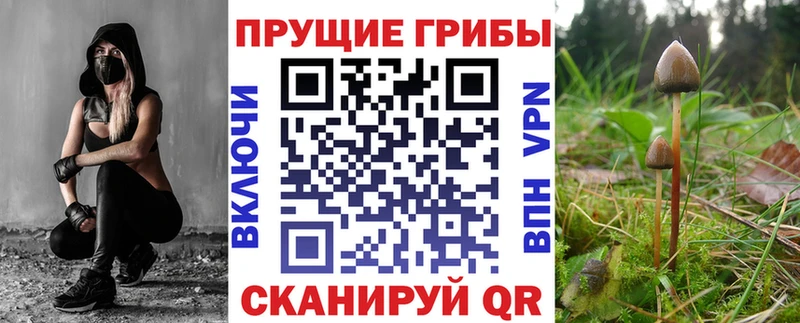 Псилоцибиновые грибы MAGIC MUSHROOMS  гидра как войти  это какой сайт  Новодвинск 