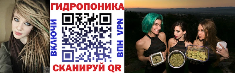 Бошки марихуана White Widow  Новодвинск 