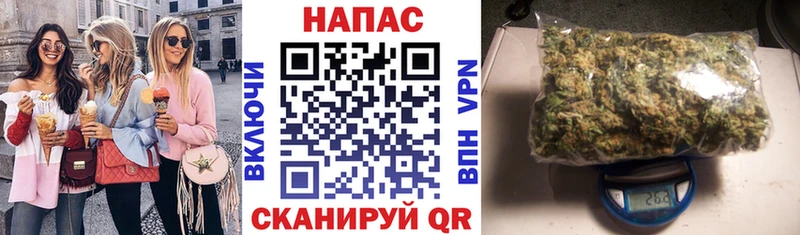 Шишки марихуана планчик Новодвинск